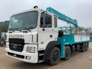 H320 Gắn cẩu