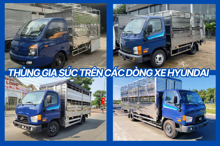 Các dòng xe tải Hyundai có thể gắn thùng gia súc/ thùng gia cầm