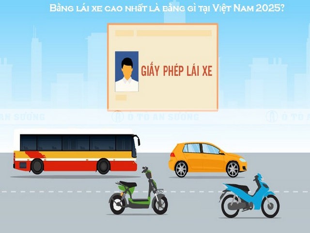 Bằng lái xe cao nhất là bằng gì tại Việt Nam 2025?