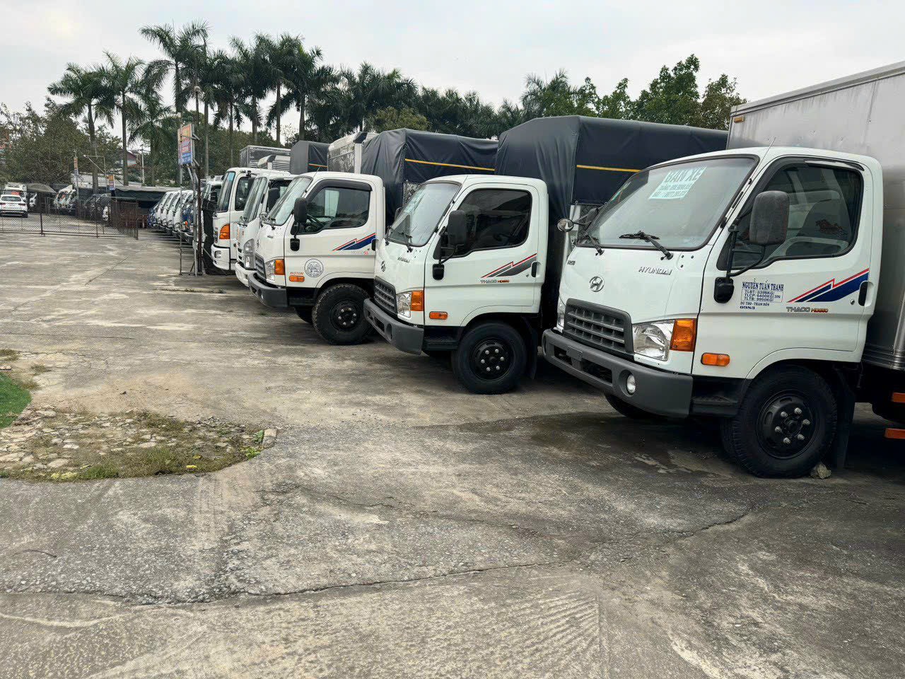 Kinh nghiệm mua xe tải cho người mới, đọc ngay trước khi “xuống tiền”