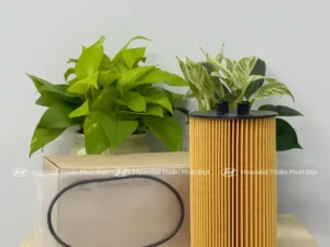 Lọc dầu động cơ